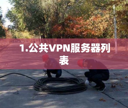 1.公共VPN服务器列表