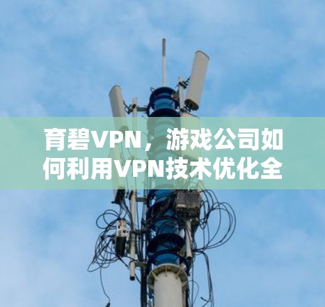 育碧VPN，游戏公司如何利用VPN技术优化全球玩家体验