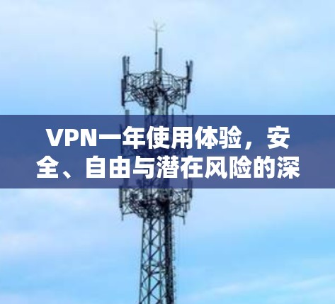 VPN一年使用体验,安全、自由与潜在风险的深度分析 VPN一年使用体验,安全、自由与潜在风险的深度分析